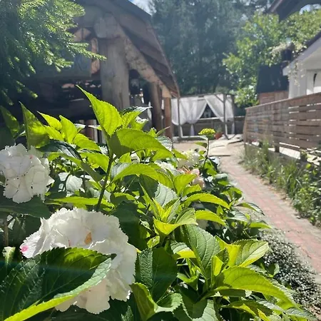 Apartament Zagroda *